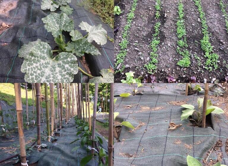 تختخواب و صبحانه Guest House Villa Corti