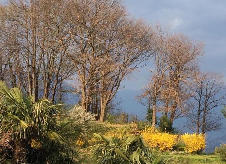 تختخواب و صبحانه Guest House Villa Corti