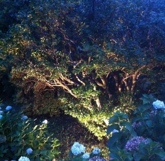 تختخواب و صبحانه Guest House Villa Corti