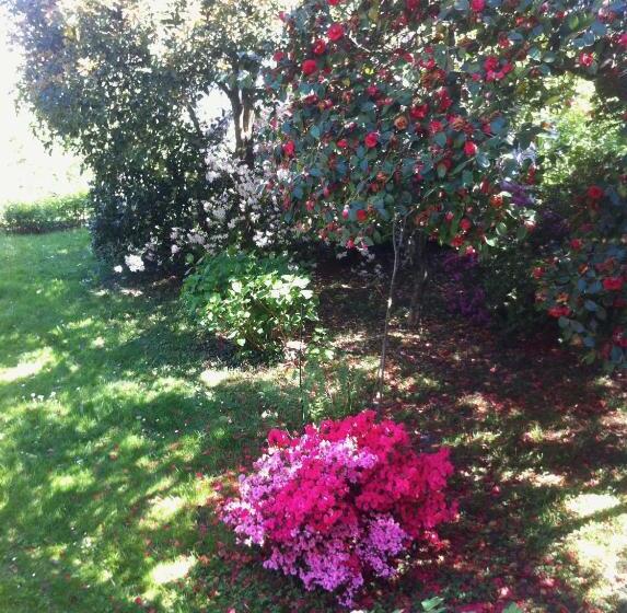 تختخواب و صبحانه Guest House Villa Corti