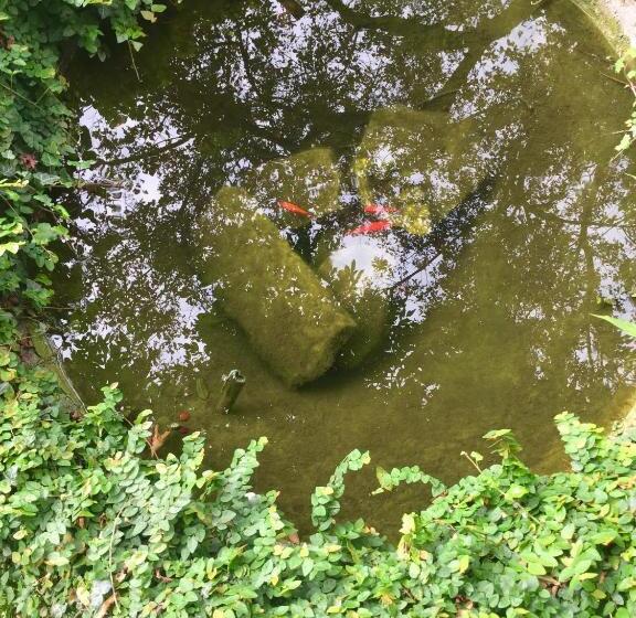 تختخواب و صبحانه Guest House Villa Corti