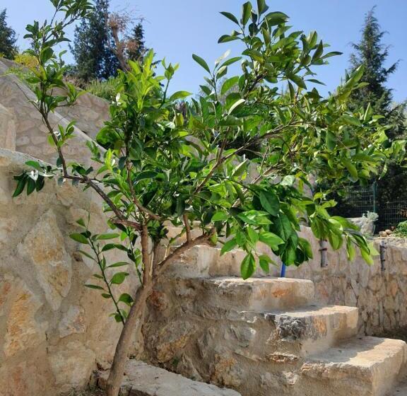 Hotell Artolive Datca