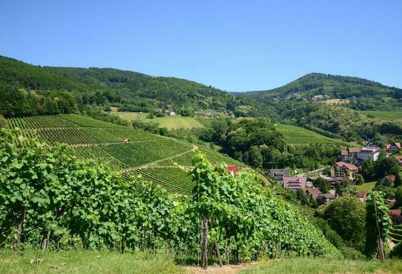 Residence Am Weinberg / Travellers Hotelbetriebs Gmbh