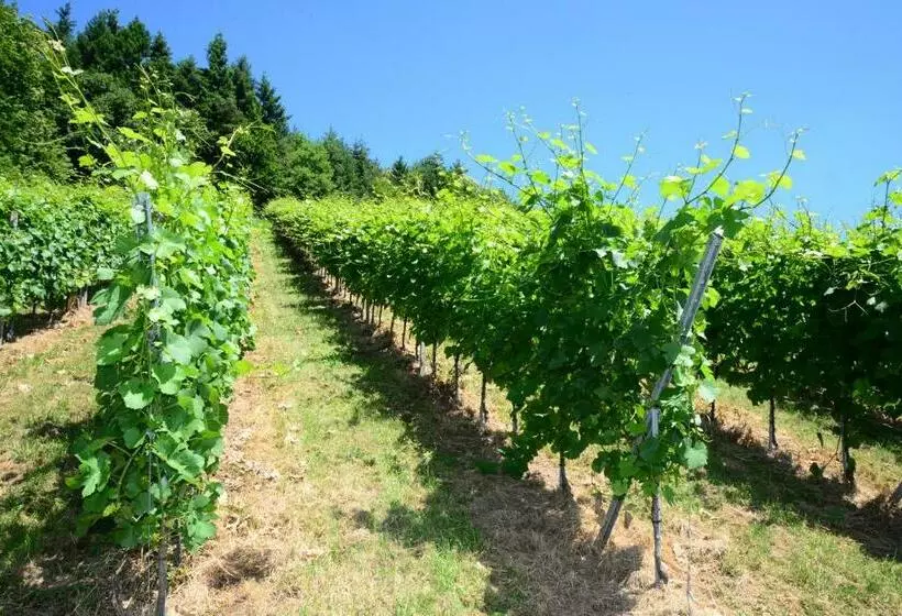 Residence Am Weinberg / Travellers Hotelbetriebs Gmbh