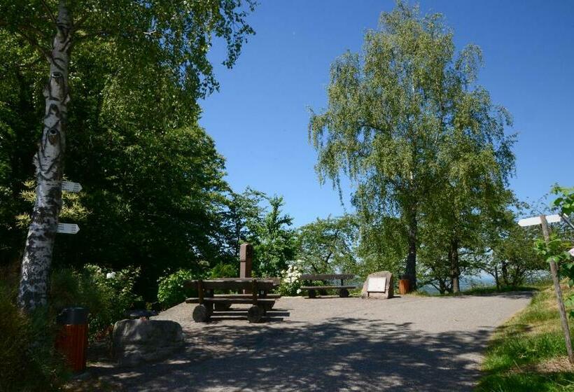 Residence Am Weinberg / Travellers Hotelbetriebs Gmbh