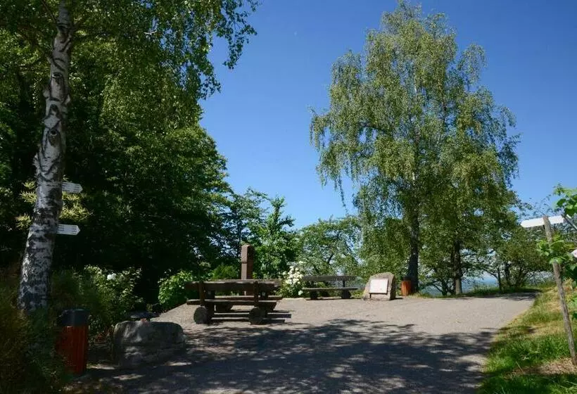 Residence Am Weinberg / Travellers Hotelbetriebs Gmbh