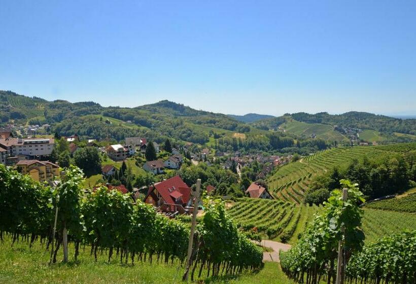 Residence Am Weinberg / Travellers Hotelbetriebs Gmbh