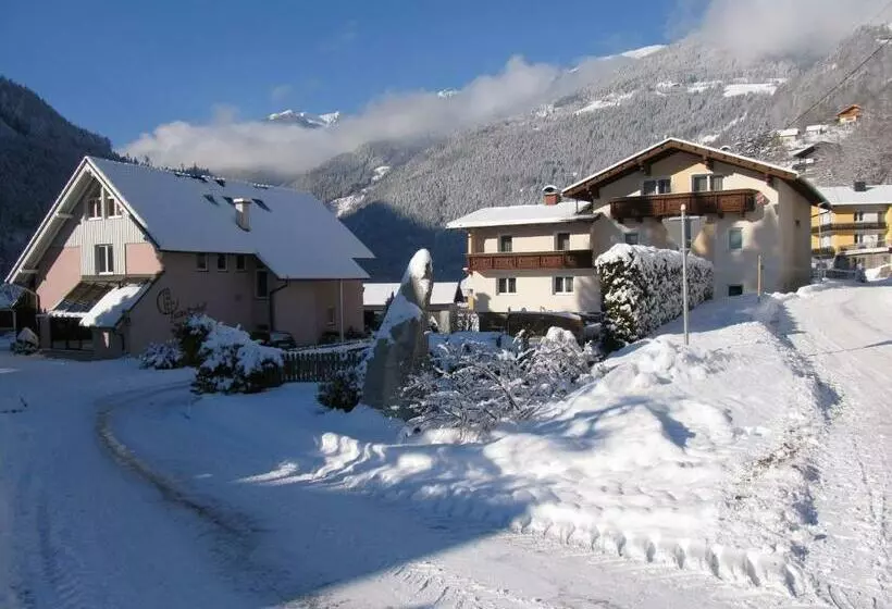 Apartmenthaus Kometerhof