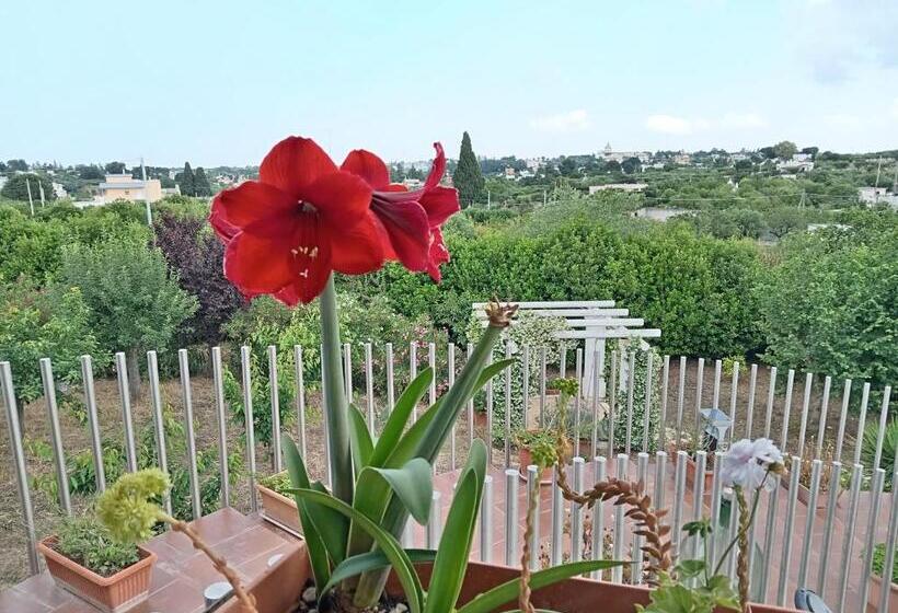 צימר Casa Mastronardi