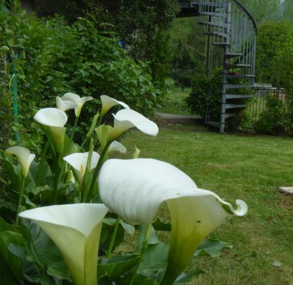 مبيت وإفطار Le Grand Chalet