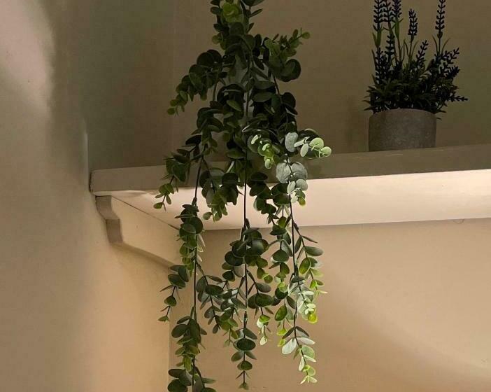 ベッドアンドブレックファースト The Garden Room