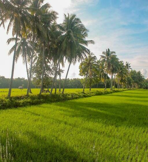 פנסיון Casa Amigo