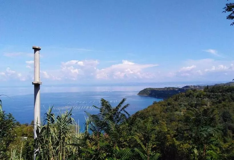 پانسیون Casa Riccobon