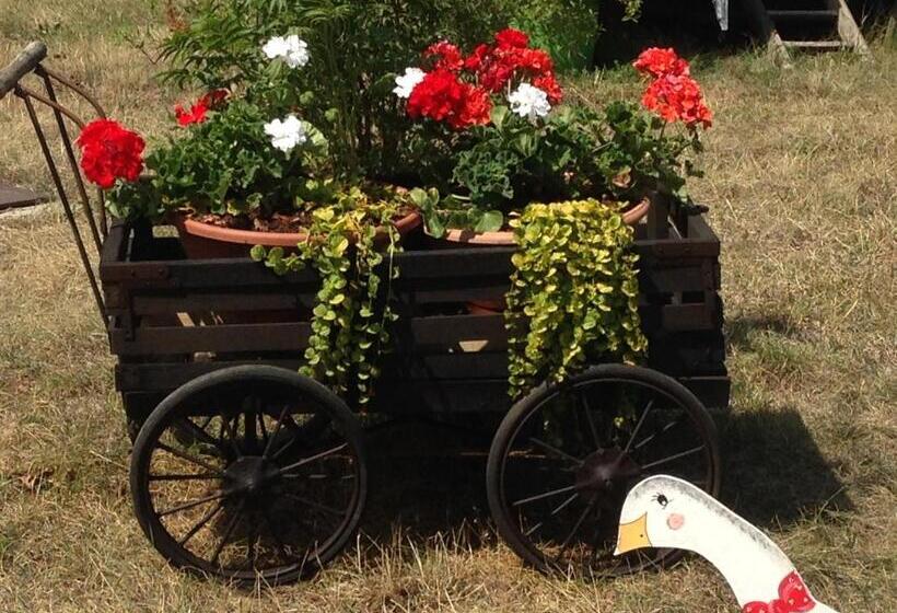 פנסיון Eden Des Choux