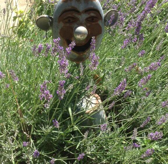 פנסיון Eden Des Choux