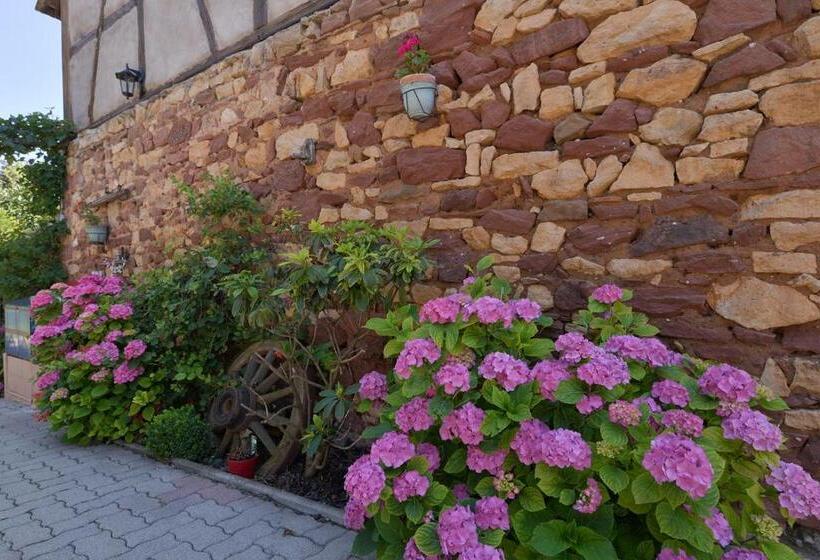 פנסיון Eden Des Choux