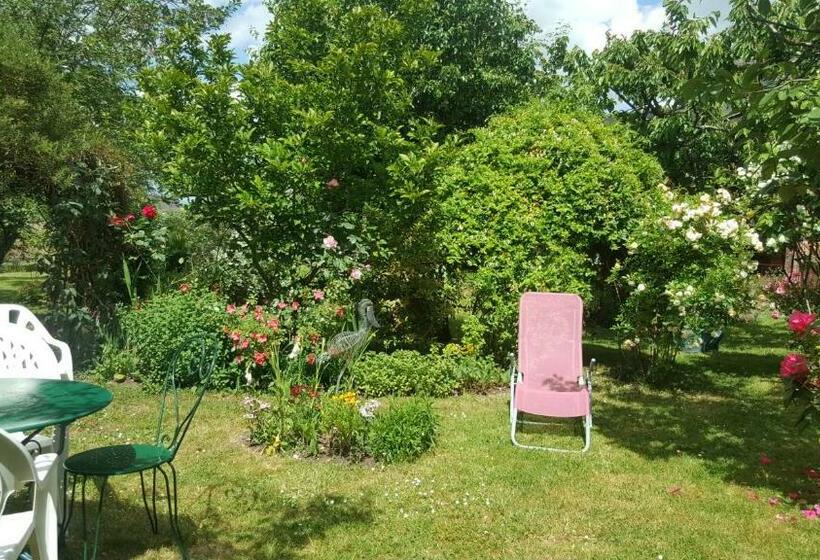 بنسيون Les Hirondelles