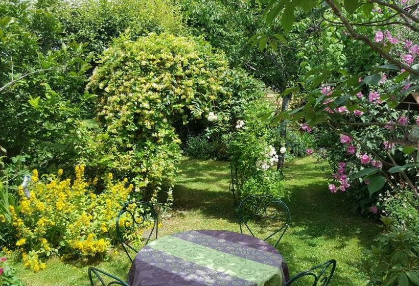 بنسيون Les Hirondelles