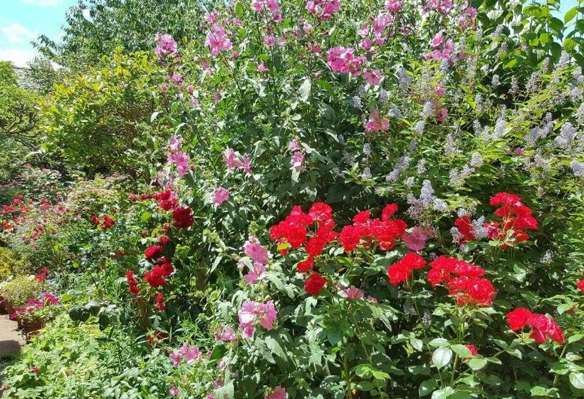 بنسيون Les Hirondelles