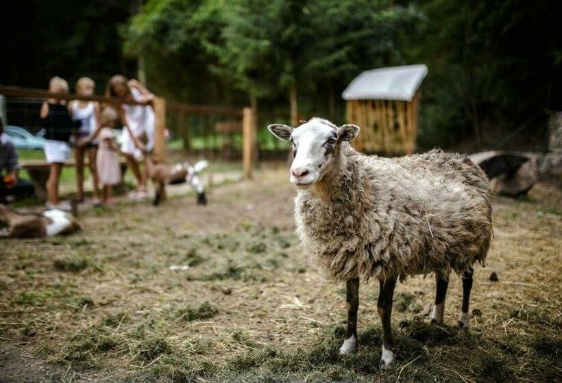 Пансион Spálený Mlýn V Národním Parku Podyjí