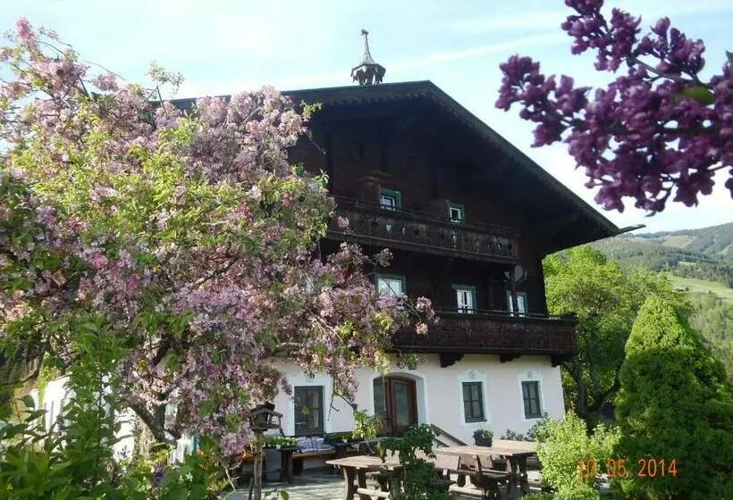Pension Schachernhof