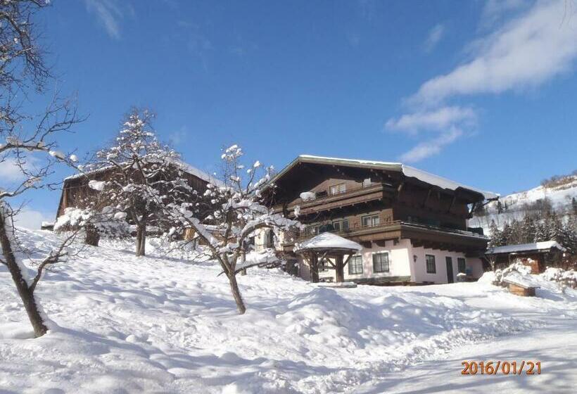 Pension Schachernhof