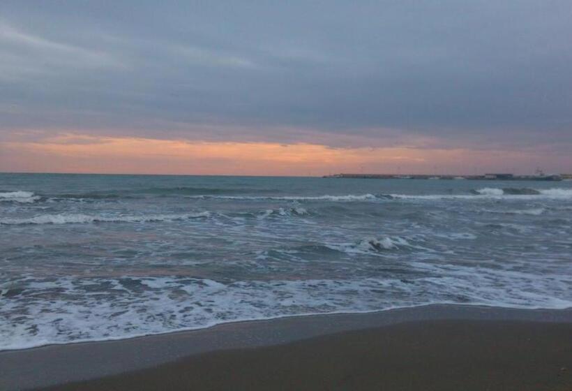 تختخواب و صبحانه Buba Bnb Superior