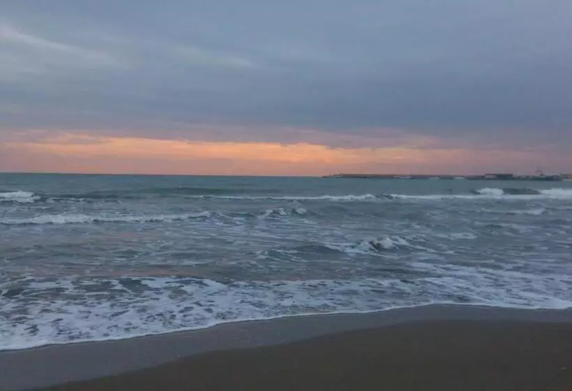 ベッドアンドブレックファースト Buba Bnb Superior