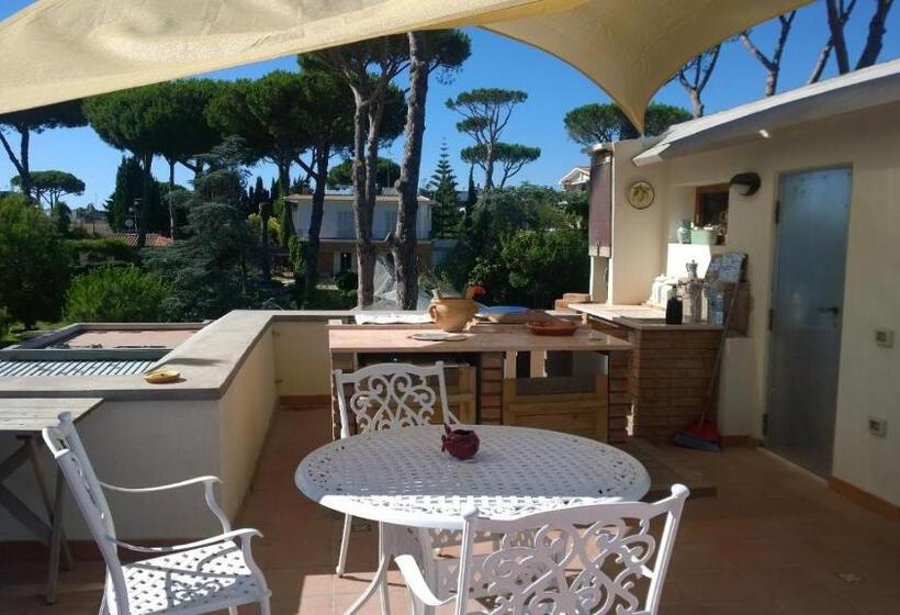 تختخواب و صبحانه Buba Bnb Superior