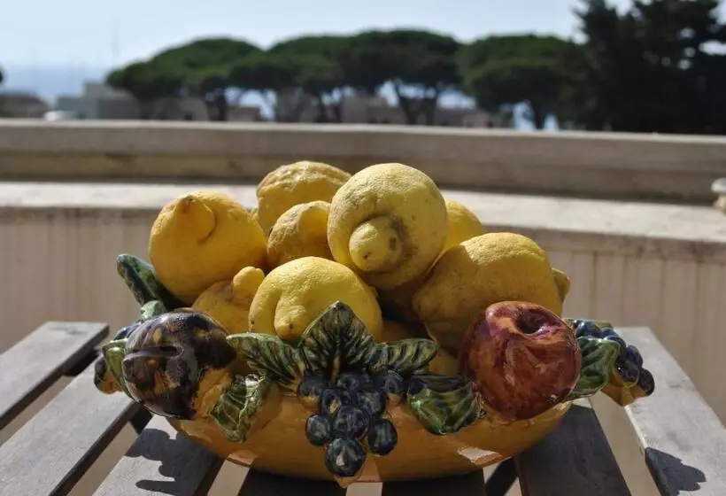 ベッドアンドブレックファースト Buba Bnb Superior