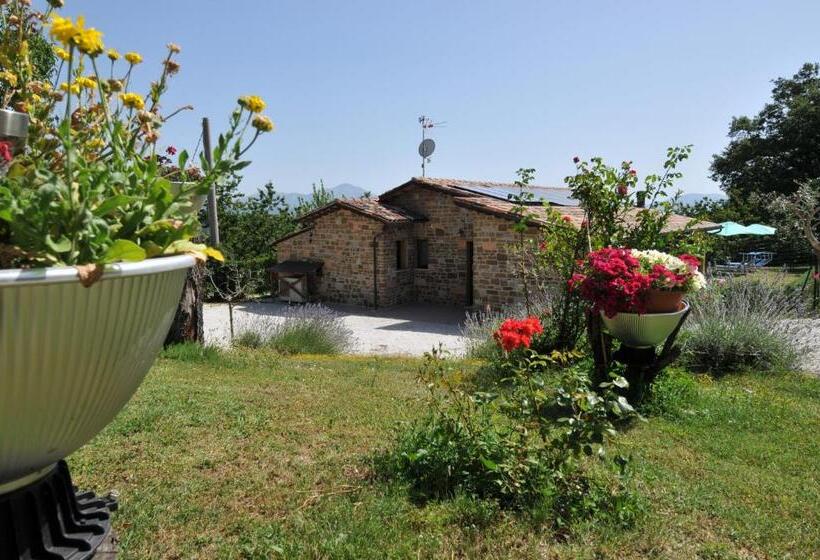 민박 Casalotto Francescano