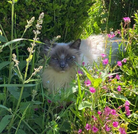 Bed and Breakfast Clos De Bartinquie