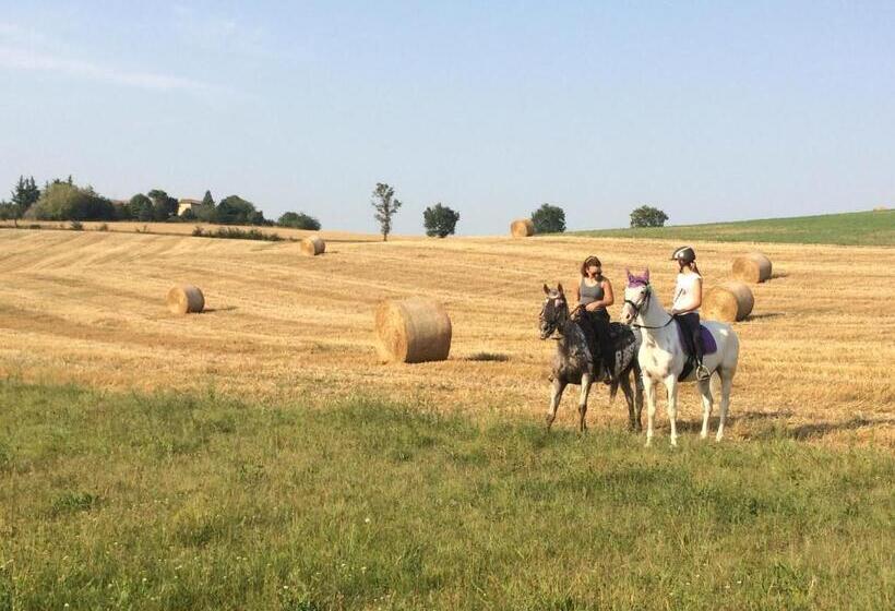 مبيت وإفطار Country House Montessino   Adults Only