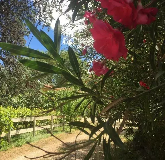 Aamiaismajoitus (B&B) Mas D Auzières