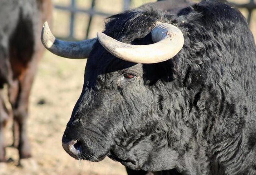 צימר Mas D Auzières