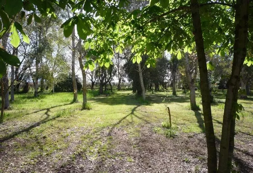 ホテル Agriturismo La Giannottola
