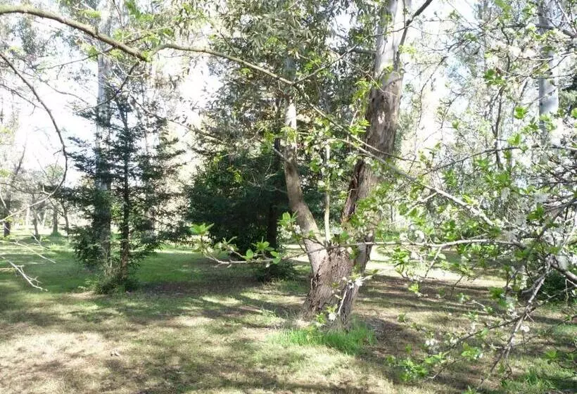ホテル Agriturismo La Giannottola