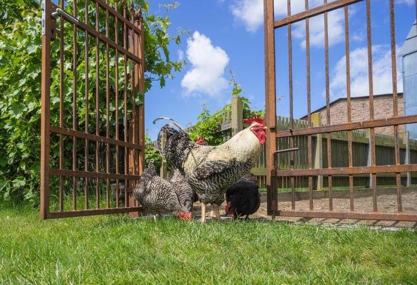 בית מלון כפרי Hof Lewin