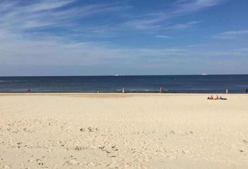 בית מלון כפרי Hof Lewin