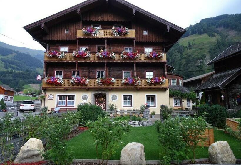 فندق Wengerbauer