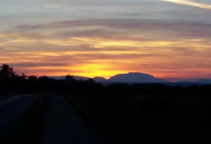 ペンション Arkadenhof Zur Puszta Graf