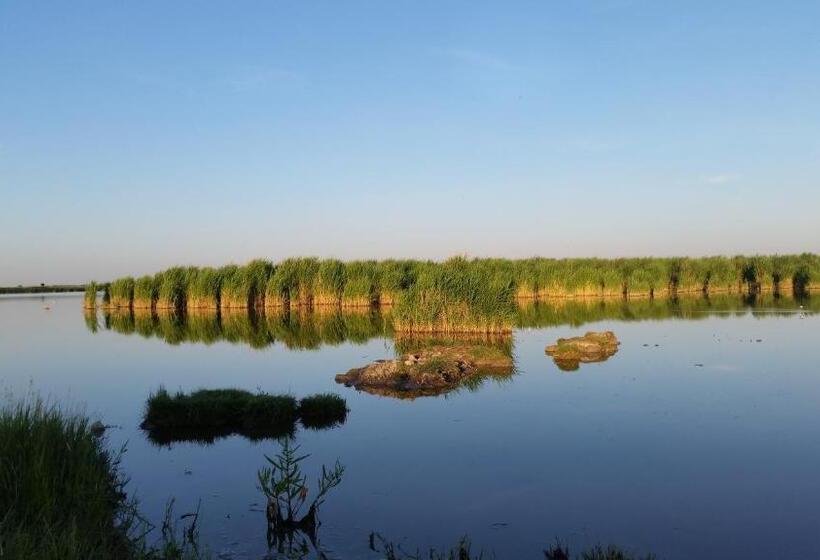 پانسیون Arkadenhof Zur Puszta Graf