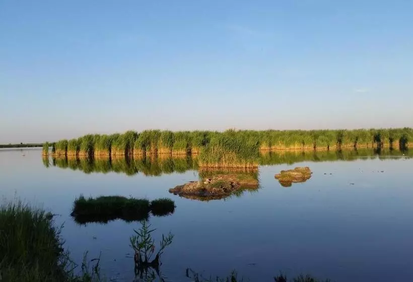 ペンション Arkadenhof Zur Puszta Graf