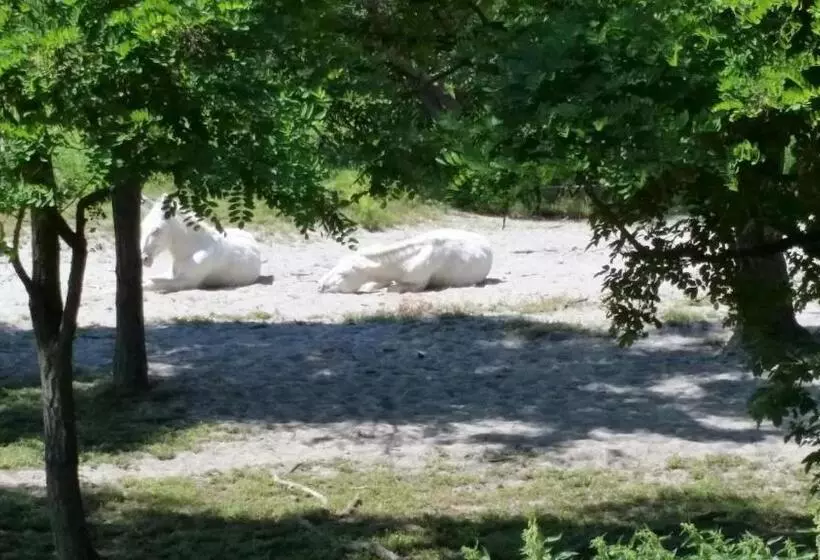 ペンション Arkadenhof Zur Puszta Graf