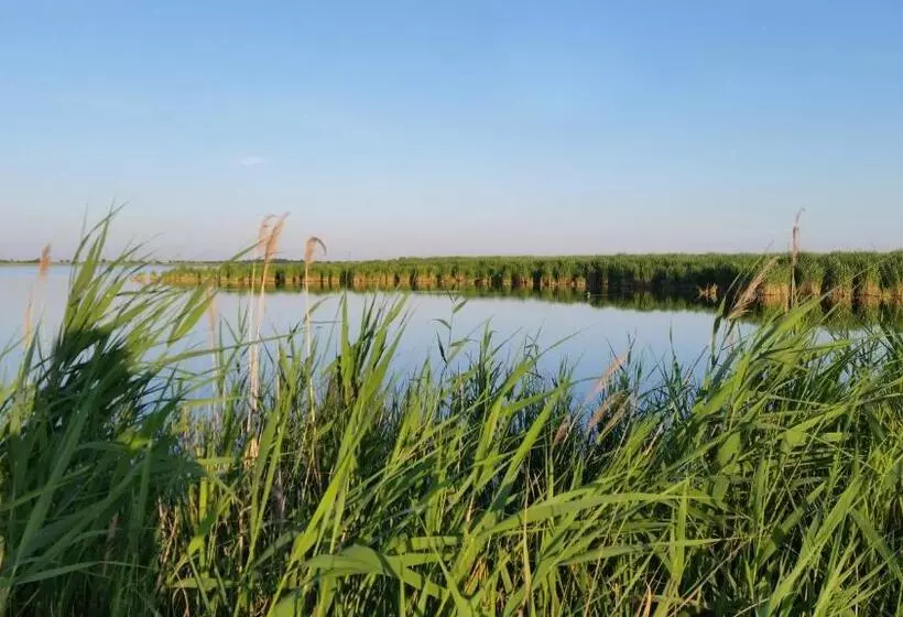 ペンション Arkadenhof Zur Puszta Graf