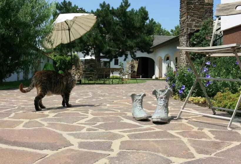 ペンション Arkadenhof Zur Puszta Graf