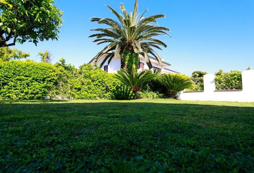 بنسيون L Ippocampo Guest House