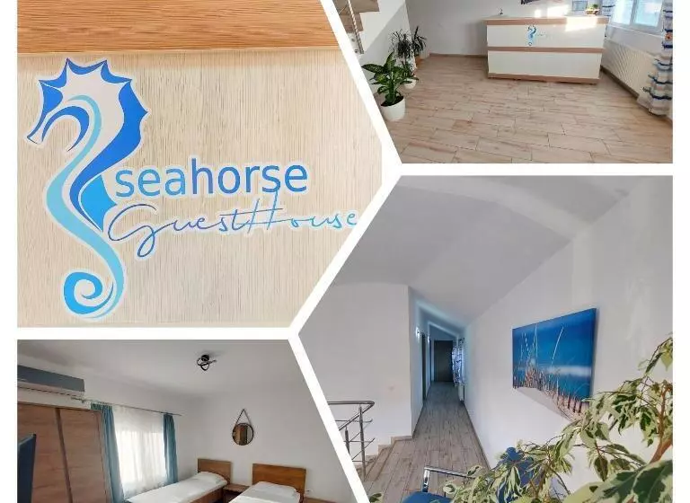Majatalo Seahorse Guesthouse