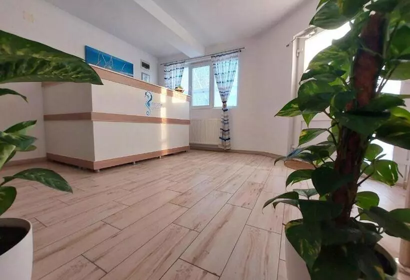 Majatalo Seahorse Guesthouse