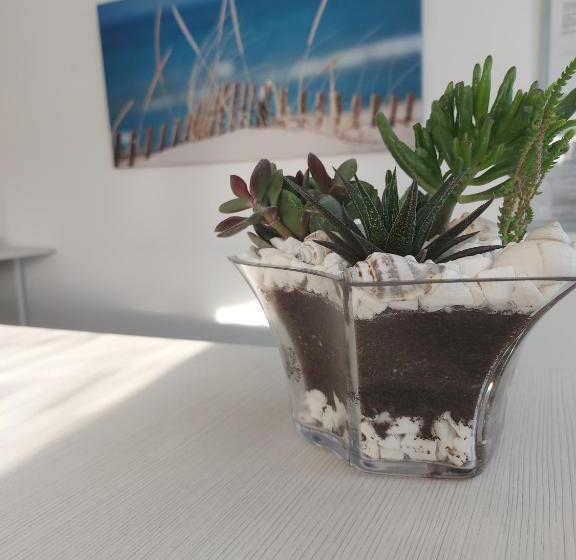 پانسیون Seahorse Guesthouse